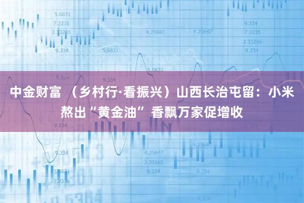 中金财富 （乡村行·看振兴）山西长治屯留：小米熬出“黄金油” 香飘万家促增收
