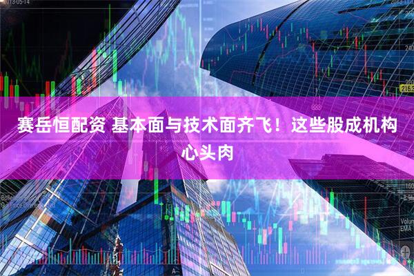 赛岳恒配资 基本面与技术面齐飞！这些股成机构心头肉