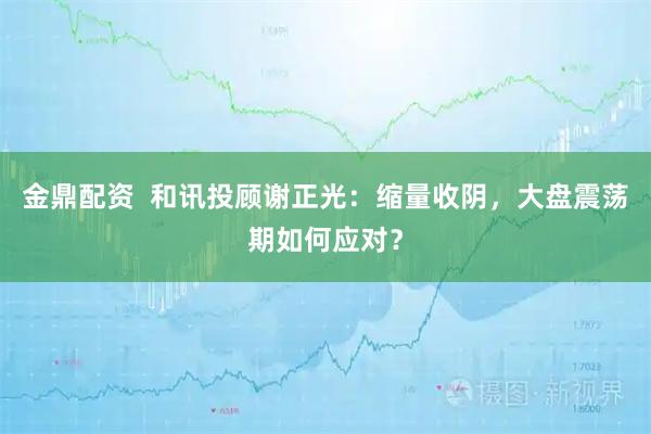 金鼎配资  和讯投顾谢正光：缩量收阴，大盘震荡期如何应对？