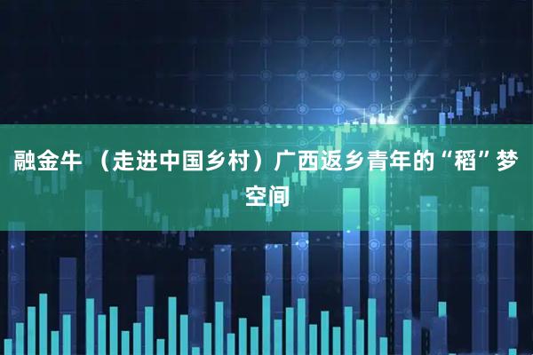 融金牛 （走进中国乡村）广西返乡青年的“稻”梦空间
