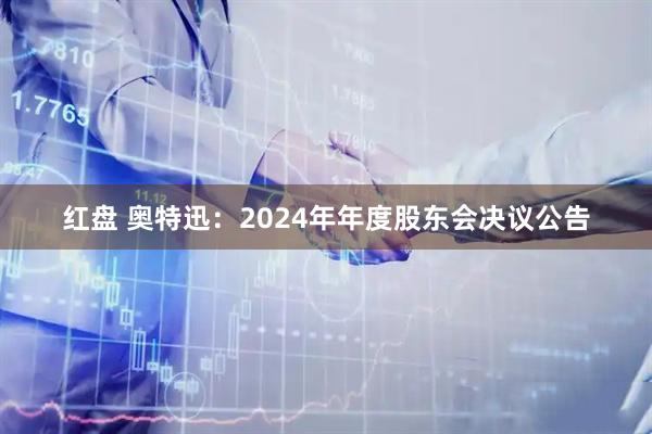 红盘 奥特迅：2024年年度股东会决议公告