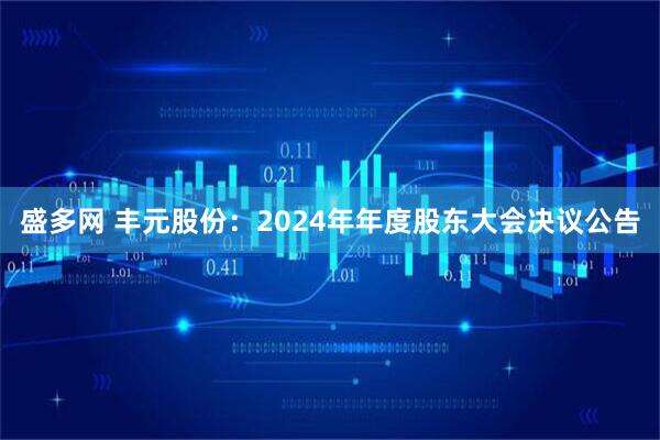 盛多网 丰元股份：2024年年度股东大会决议公告