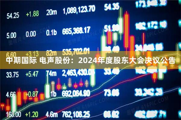 中期国际 电声股份：2024年度股东大会决议公告