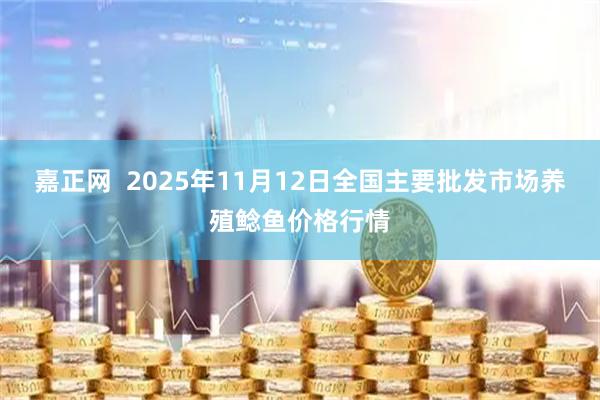 嘉正网  2025年11月12日全国主要批发市场养殖鲶鱼价格行情